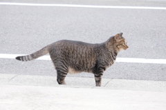 地域の安全を見守る