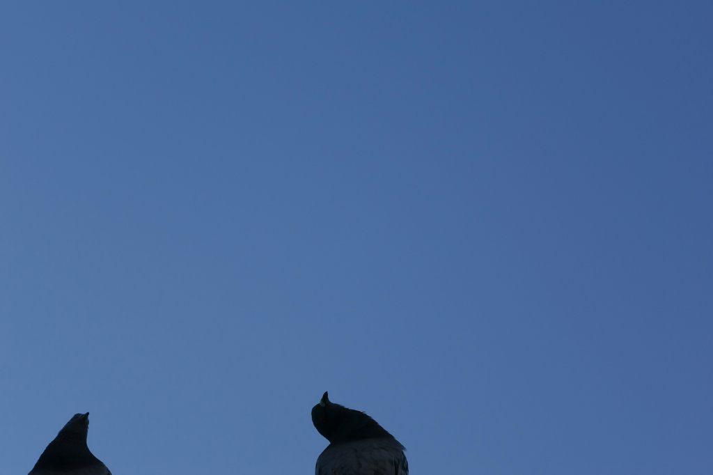空に憧れて