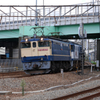 EF65 と EF64