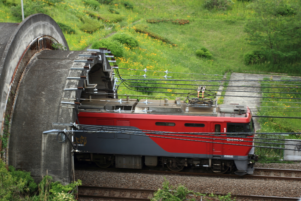 金太郎登場・第二稲城トンネル