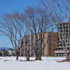 残雪の広場
