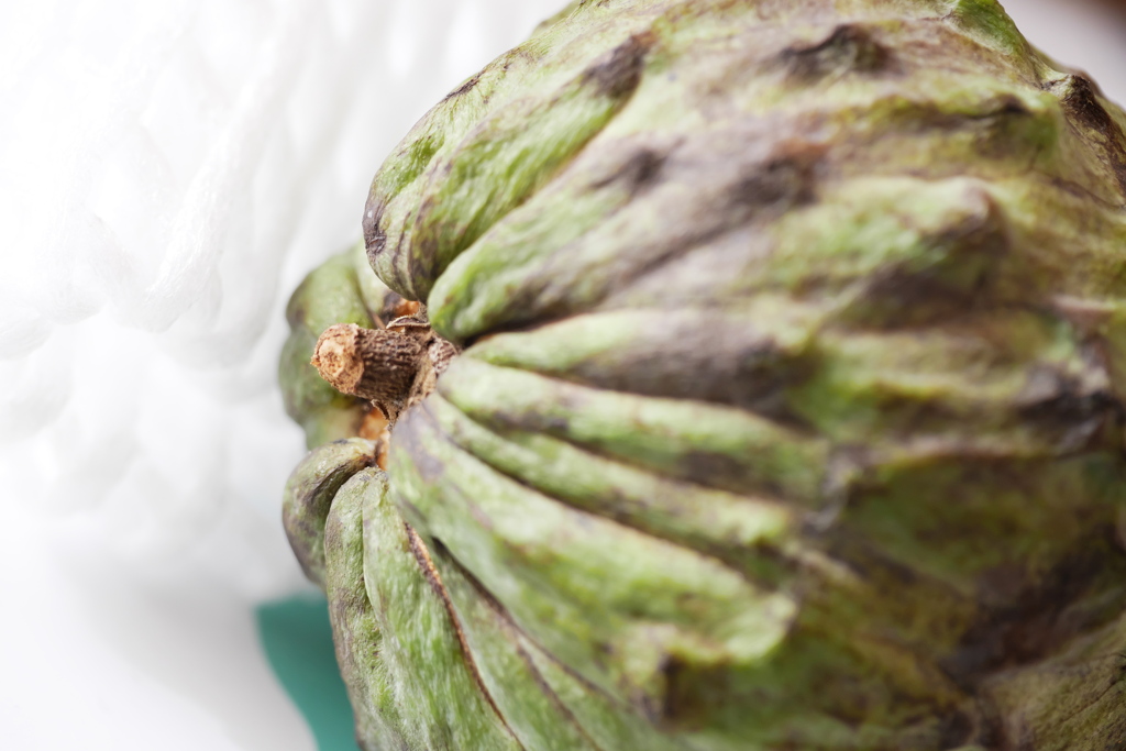 和歌山産チェリモヤ