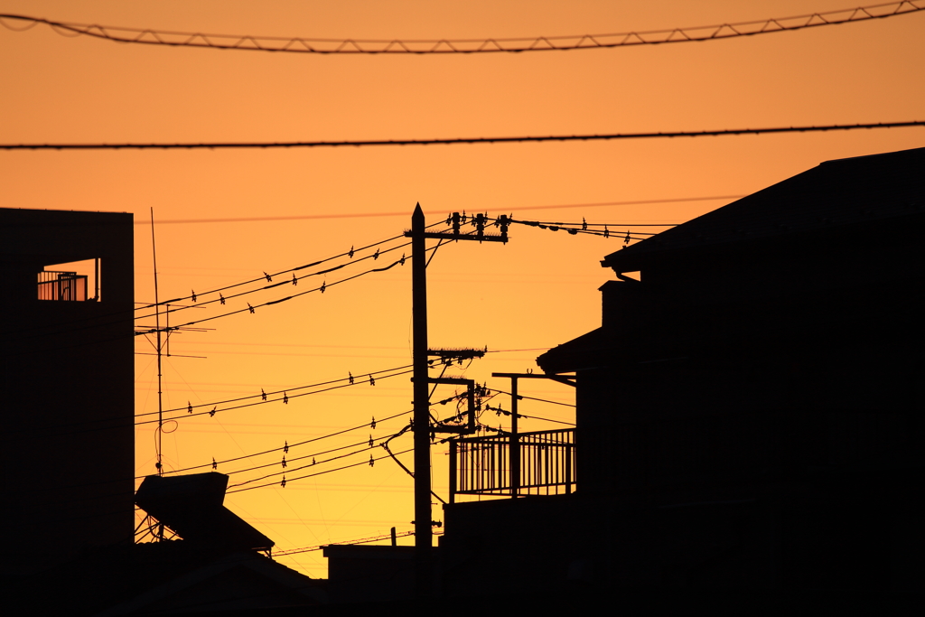 住宅街の向こうは朝の色