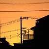 住宅街の向こうは朝の色