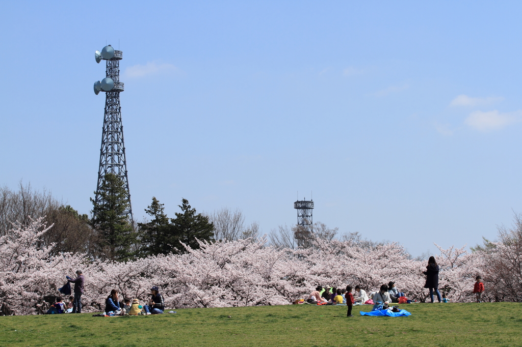 あの上から撮ってみたい桜並木