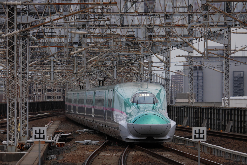 いつもながら、この密度の高さに惹かれる