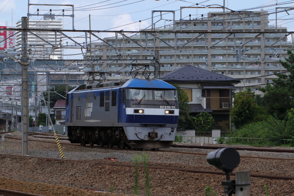 桃太郎独り歩き