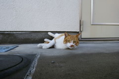 ん、何だ？