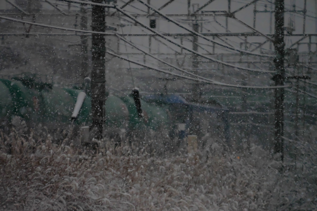 降りしきる雪の向こうに桃太郎