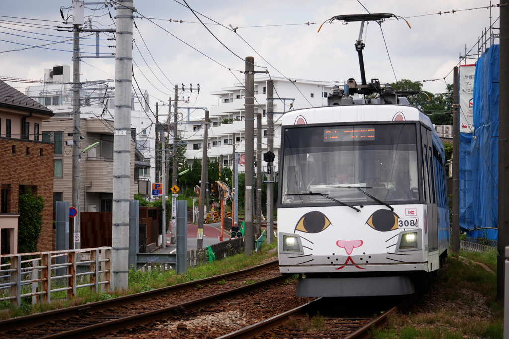 幸運の招き猫電車