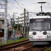 幸運の招き猫電車