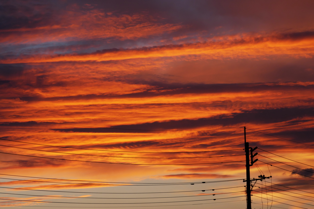 キレイに染まった夕べの雲