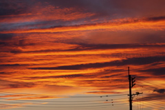 キレイに染まった夕べの雲