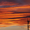 キレイに染まった夕べの雲