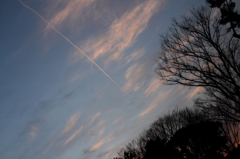 閉館時間の空