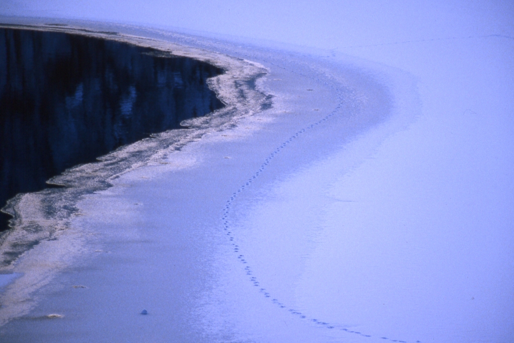 山に活きる　84年1月、とあるダム湖で