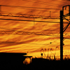 夕焼けのシルエット
