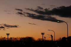 染まる冬の夕空の、下に並ぶ街灯の色