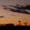 染まる冬の夕空の、下に並ぶ街灯の色