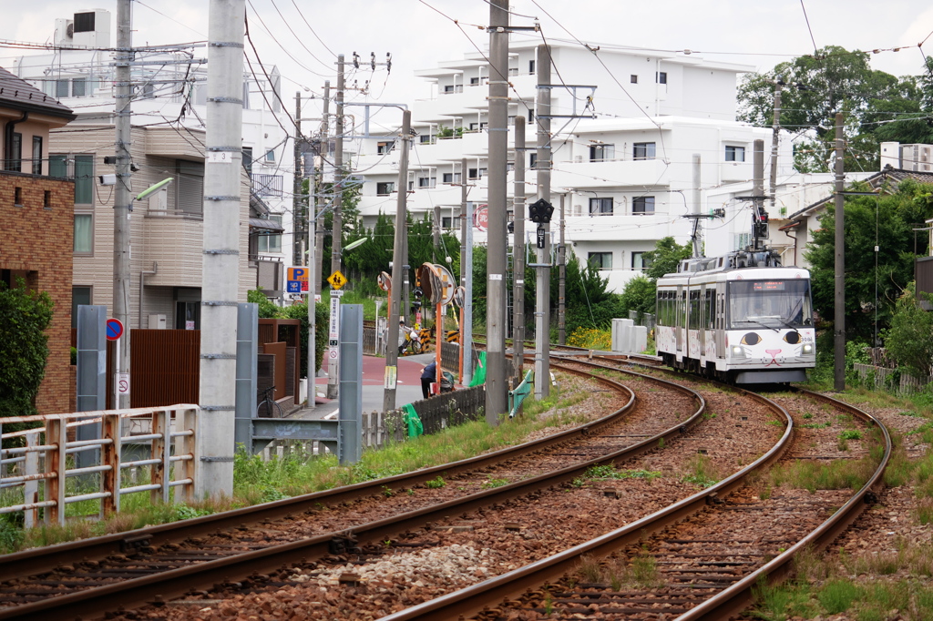 幸運の招き猫電車が来る
