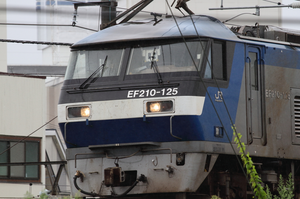 雨の中を行く桃太郎