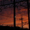 LED街灯のある夕景
