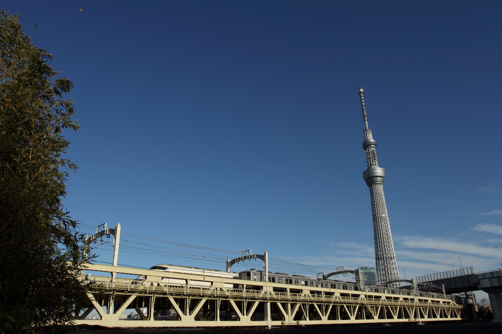 スカイツリーとスカイツリーエクスプレス