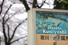 桜の季節の国芳展