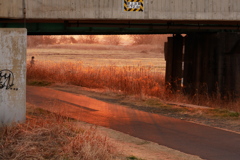 橋梁下に射す朝の光