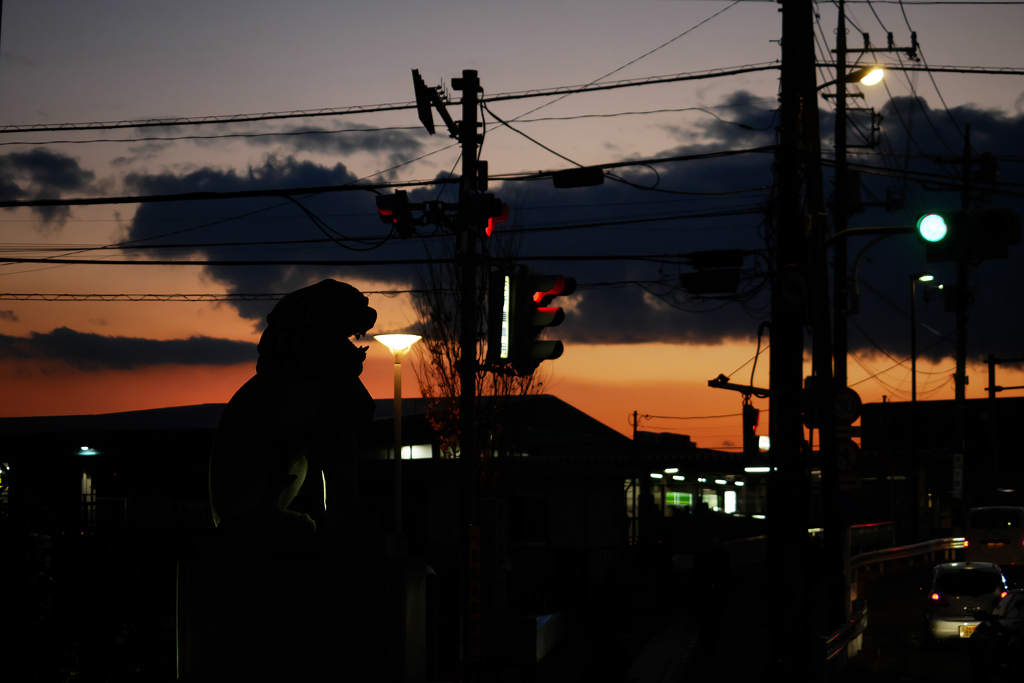 夕空と狛犬さま