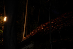 常夜灯と屋根の落ち葉
