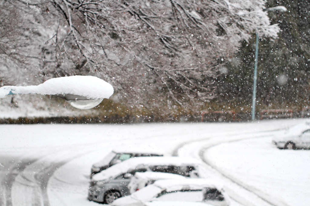 初雪