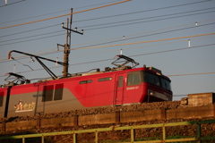 金太郎の朝