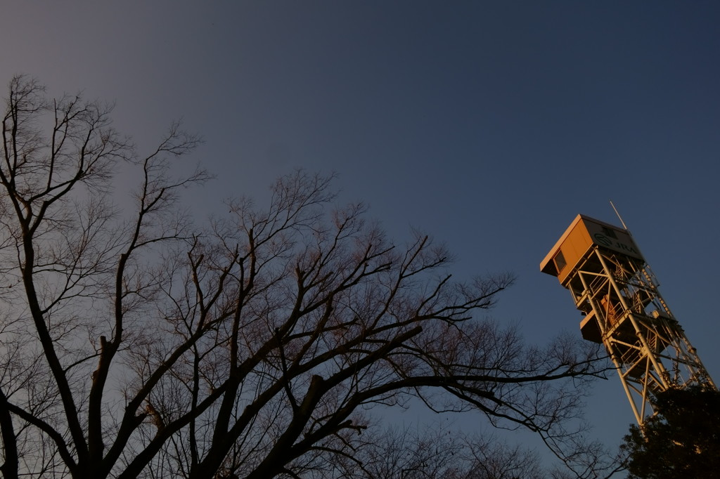 見上げる夕晴れの色