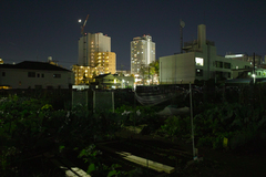 夜の菜園
