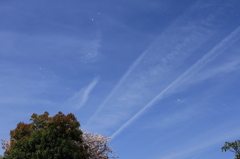 雲と花びら