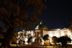 ユリノキと表敬館 秋の夜