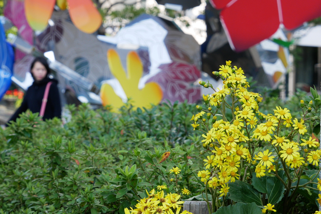 Echoes Infinity～Immortal Flowers～の傍らに咲く花