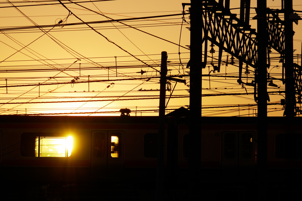 夕陽の車窓