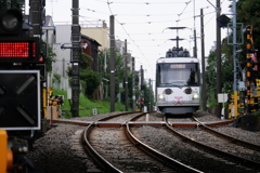 招き猫電車が来た