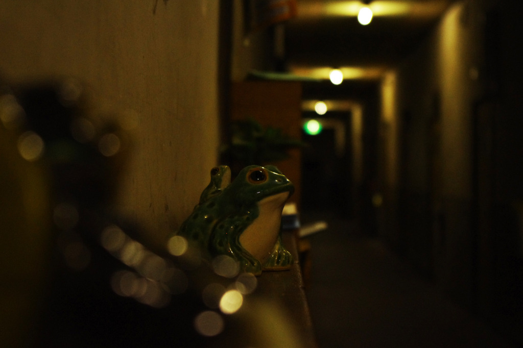 白馬荘 pt.1@2010.8.15