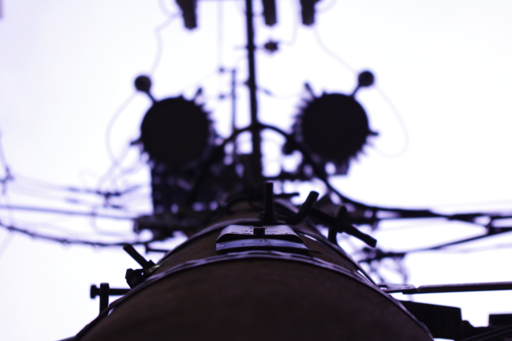 電柱。＠2010.6.29