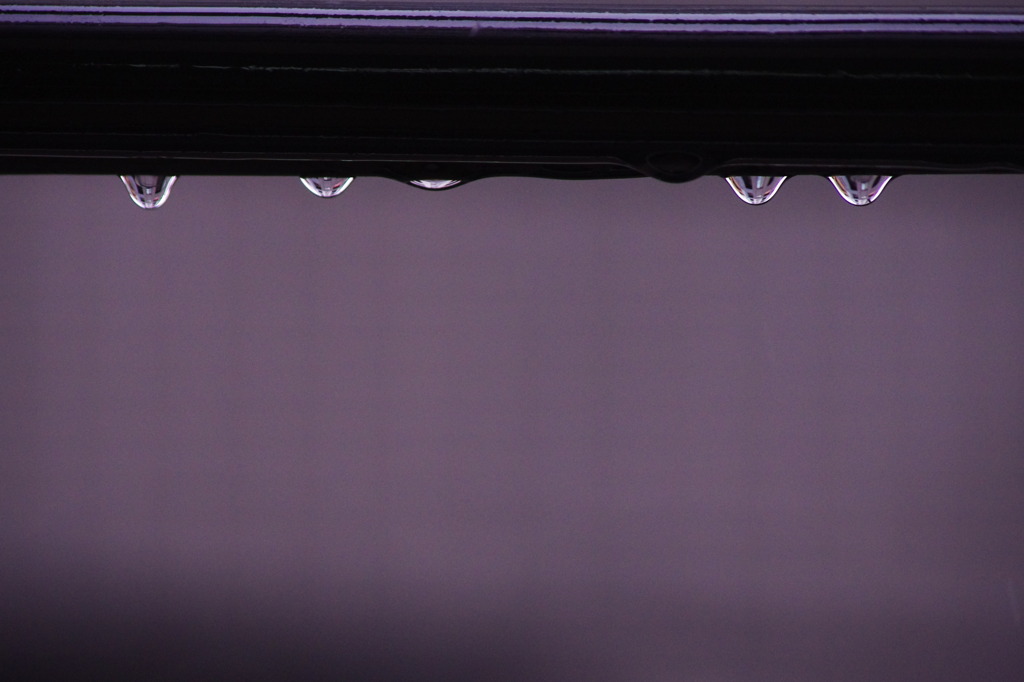 お梅雨。