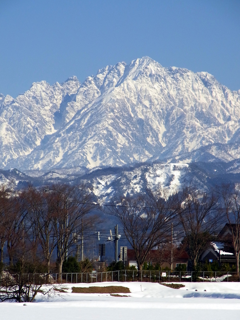勇姿