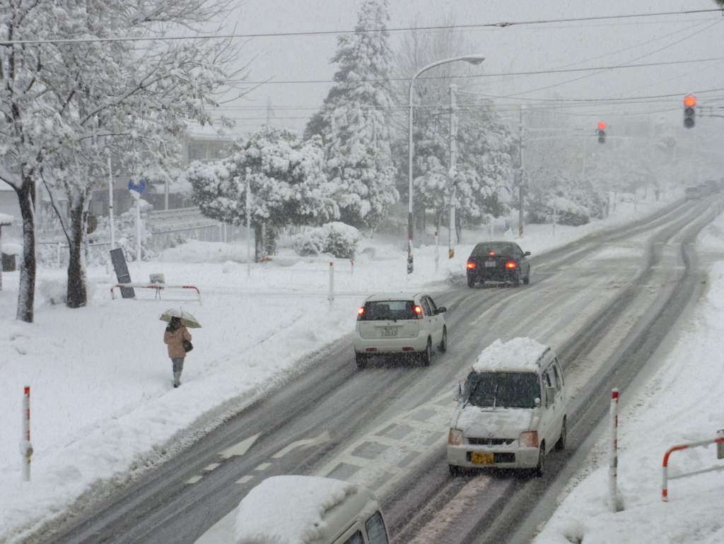 今日の雪