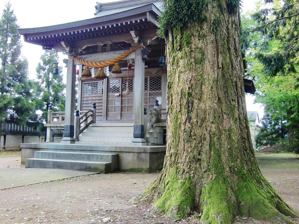 神社の主