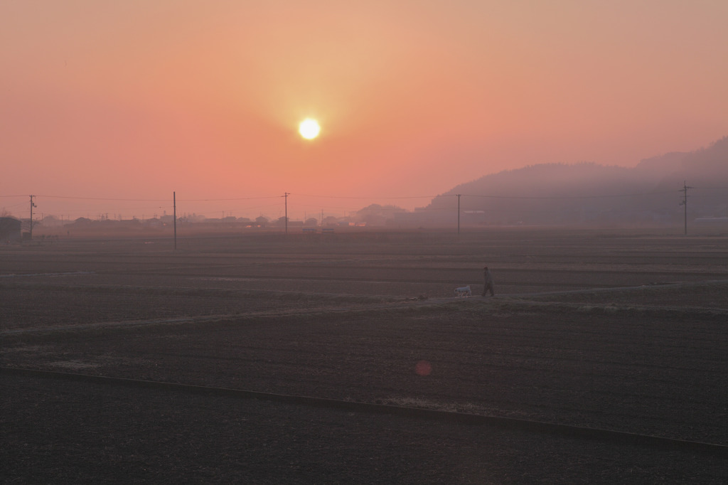 「 朝 靄 」