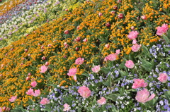 花毯
