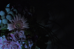 闇と華