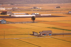 田舎の風景 1